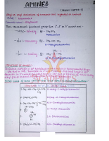 Amine by Acadpills.pdf